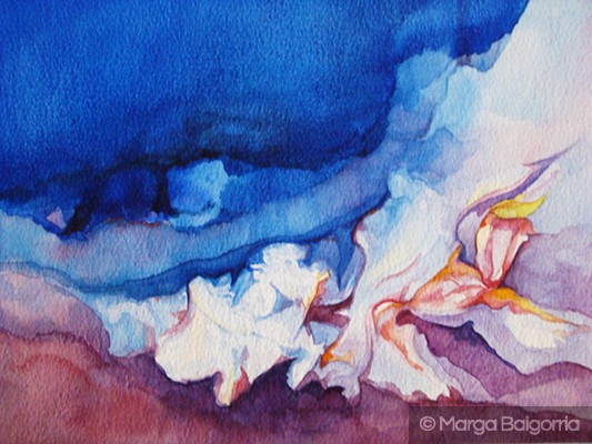 SHELLS OF THE SEA